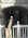 Latest_posts_thumb_avatar-jamcocktail