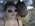 Latest_posts_thumb_avatar-maisoninvest