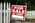 Latest_posts_thumb_avatar-wholesaleking