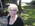 Latest_posts_thumb_avatar-mogram