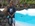 Latest_posts_thumb_avatar-tigerdlg