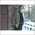 Latest_posts_thumb_avatar-dogbrain