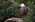 Latest_posts_thumb_avatar-caylan_cordaro