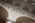 Latest_posts_thumb_avatar-bulksales