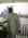 Latest_posts_thumb_avatar-ab6fullington