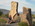 Latest_posts_thumb_avatar-kathy_v