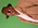 Latest_posts_thumb_avatar-newcreolecafe