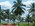 Latest_posts_thumb_avatar-houseguy06