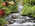 Latest_posts_thumb_avatar-chefherbs