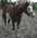 Latest_posts_thumb_avatar-pixydoodle