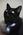 Latest_posts_thumb_avatar-ocrazy
