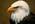 Latest_posts_thumb_avatar-fsbd