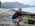 Latest_posts_thumb_avatar-jolllyroger