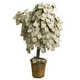 Forum_avatar_avatar-butler524