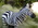 Latest_posts_thumb_avatar-reinvestorwi