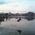Latest_posts_thumb_avatar-lynnm
