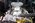 Latest_posts_thumb_avatar-candysteele