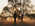 Latest_posts_thumb_avatar-liquidmav