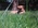 Latest_posts_thumb_avatar-boosteds4