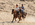 Latest_posts_thumb_avatar-magdalena55