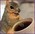Latest_posts_thumb_avatar-loydwithonel