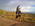 Latest_posts_thumb_avatar-hctauqsas