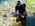 Latest_posts_thumb_avatar-msgcmpny