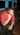 Latest_posts_thumb_avatar-oc_pro