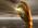 Latest_posts_thumb_avatar-midas2u