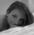 Latest_posts_thumb_avatar-crabtree