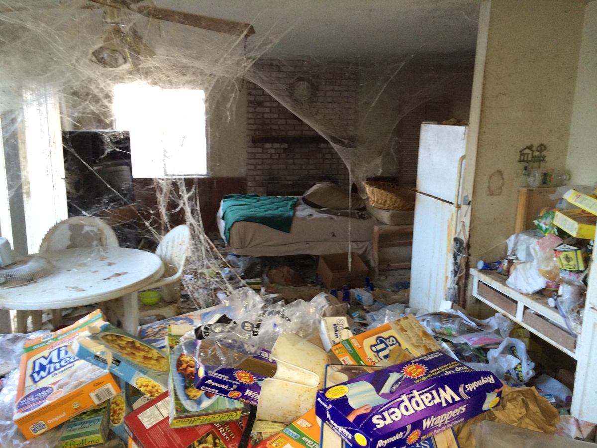 Cat Litter House Flip 653 and it could be the worst one yet. Look at