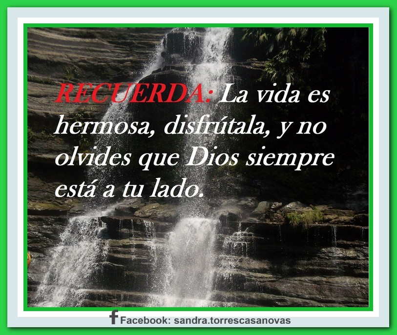 Normal 1417927075 Citas00007
