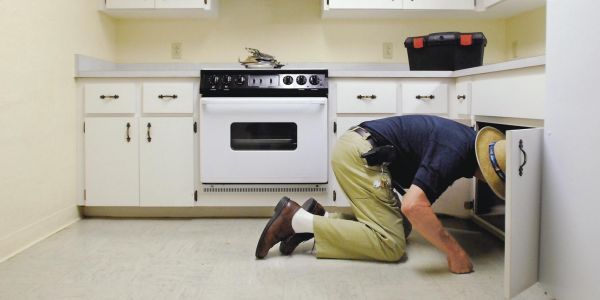 Normal 1420355810 Termites Control