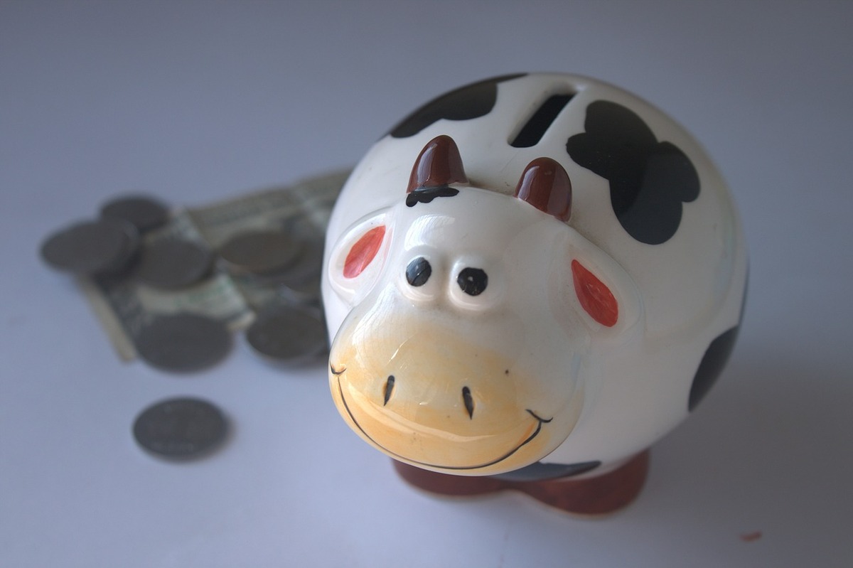 Normal 1425484479 Piggy Bank 390528 1280
