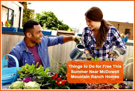 Plant your very own organic garden at homes for sale in McDowell Mountain Ranch AZ this summer!
