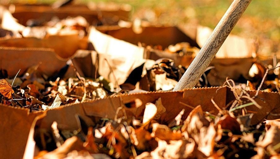 Normal 1443033074 Leaf Bags   Phil Roeder   Flickr Cc   9 23 15