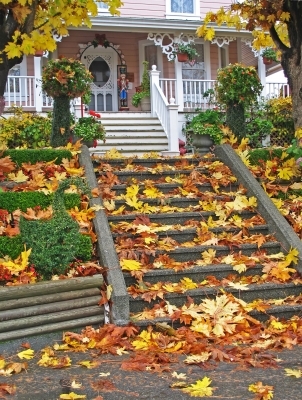 10 Tips for Fall Maintenance