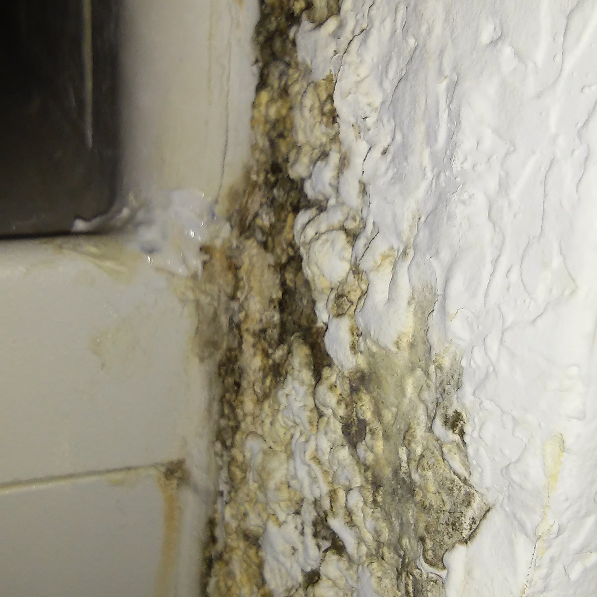 Mold In Bathroom Landlord Responsibility mold growing, who is responsible Mold In Bathroom Landlord Responsibility mold growing, who is responsible