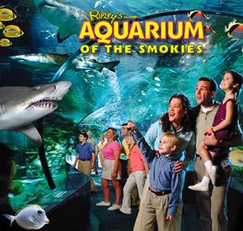 Normal 1455552444 Aquarium