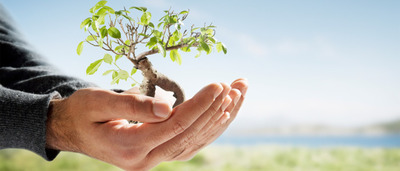 Small 1376251422 Success