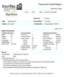 Small 1377634954 Credit Report