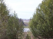 Thumb_photo