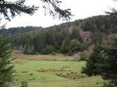 Thumb_photo