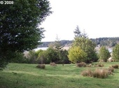 Thumb_photo