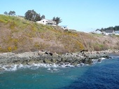 Thumb_photo