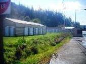 Thumb_photo