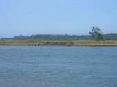 Thumb_photo