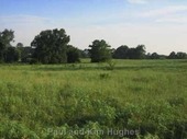 Thumb_photo