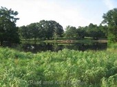 Thumb_photo
