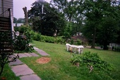 Thumb_photo
